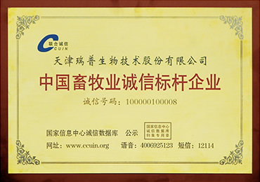 �ŵ�88(�й���)�ٷ���վ