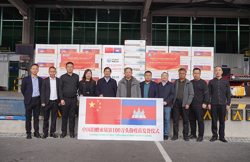 �ŵ�88(�й���)�ٷ���վ