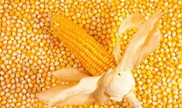 �ŵ�88(�й���)�ٷ���վ