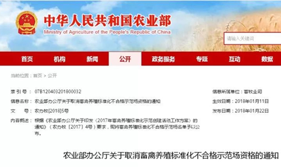 �ŵ�88(�й���)�ٷ���վ