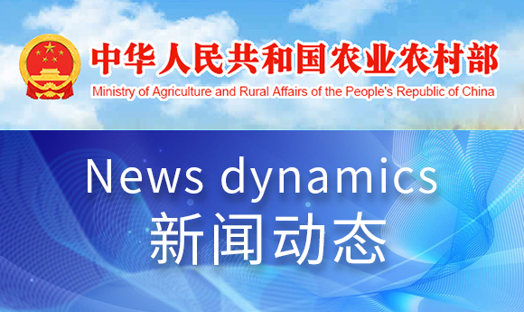 �ŵ�88(�й���)�ٷ���վ