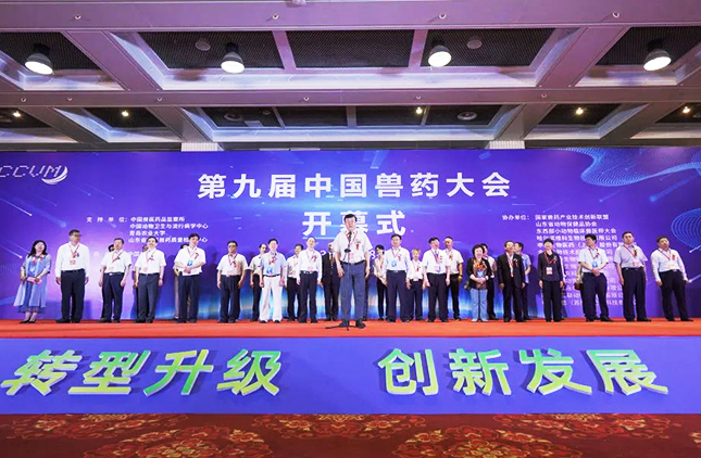 �ŵ�88(�й���)�ٷ���վ