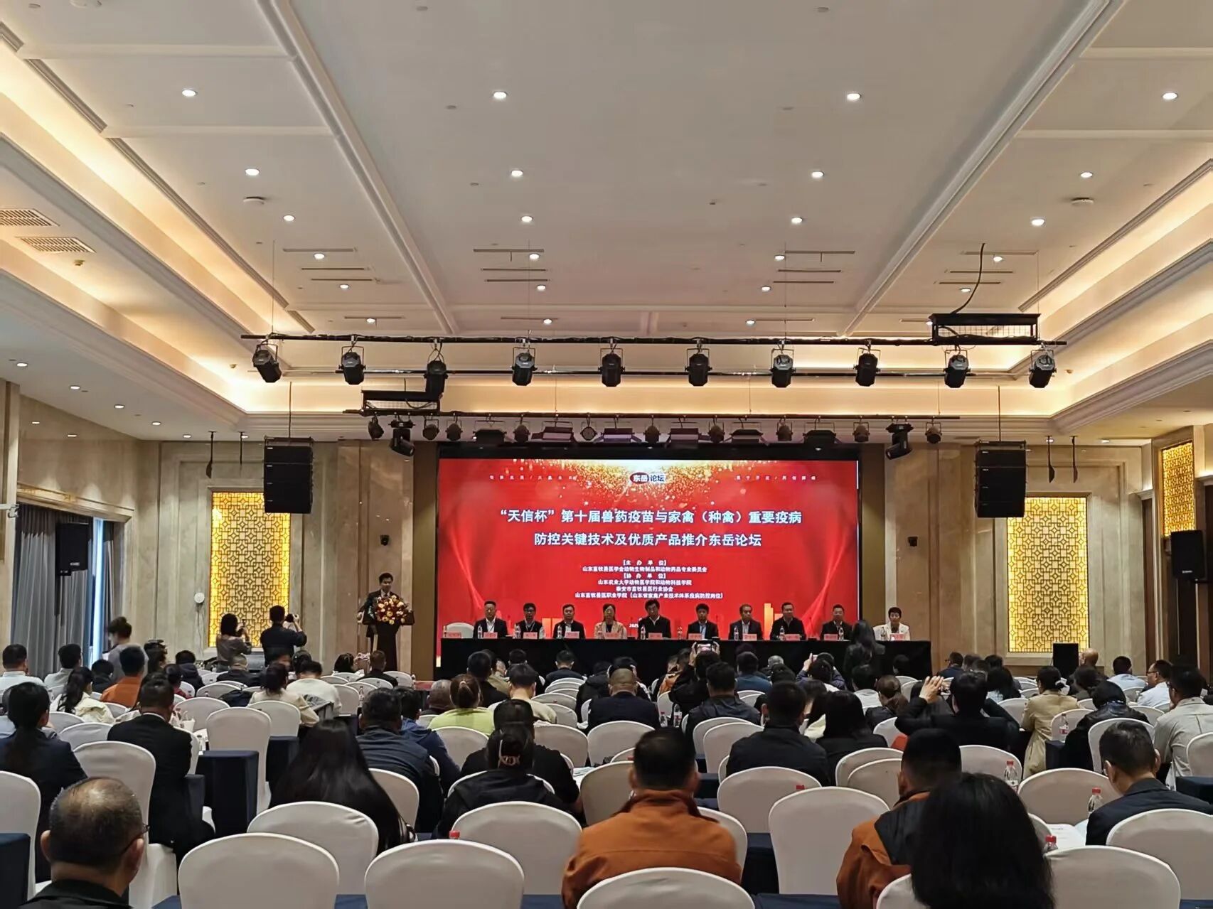 �ŵ�88(�й���)�ٷ���վ