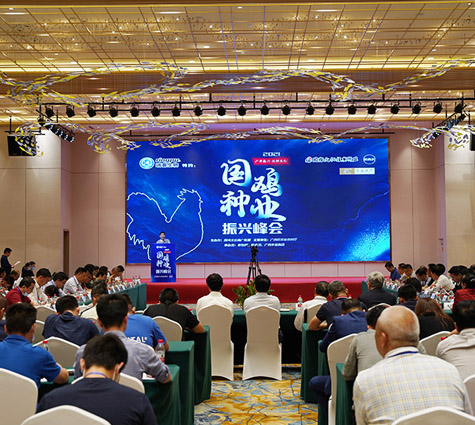 �ŵ�88(�й���)�ٷ���վ