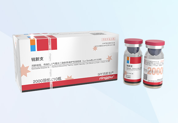 �ŵ�88(�й���)�ٷ���վ