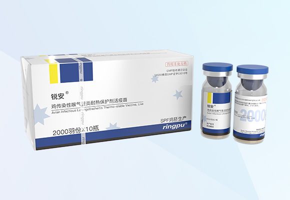 �ŵ�88(�й���)�ٷ���վ