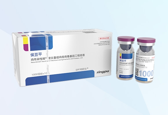 �ŵ�88(�й���)�ٷ���վ