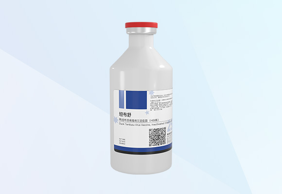 �ŵ�88(�й���)�ٷ���վ