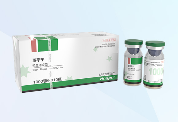 �ŵ�88(�й���)�ٷ���վ