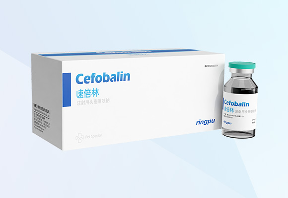 �ŵ�88(�й���)�ٷ���վ