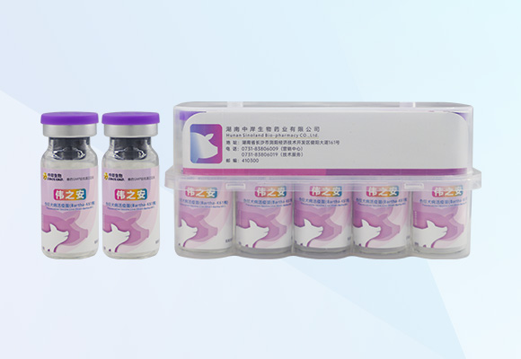 �ŵ�88(�й���)�ٷ���վ