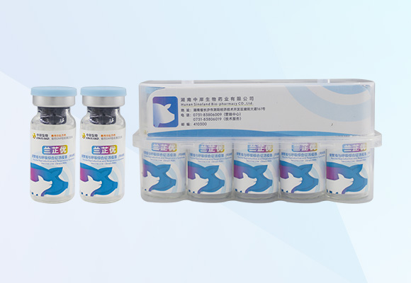 �ŵ�88(�й���)�ٷ���վ