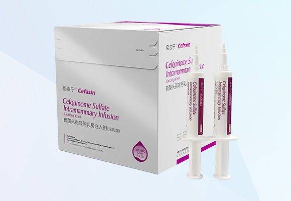 �ŵ�88(�й���)�ٷ���վ