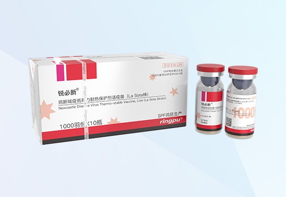 �ŵ�88(�й���)�ٷ���վ