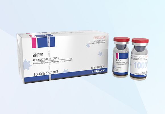 �ŵ�88(�й���)�ٷ���վ