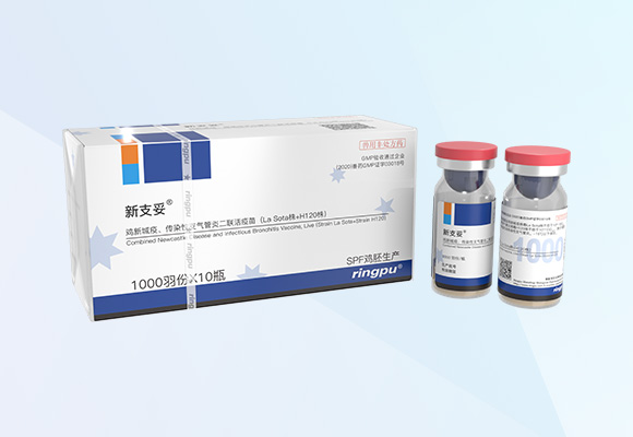 �ŵ�88(�й���)�ٷ���վ