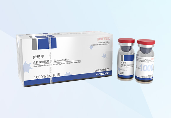 �ŵ�88(�й���)�ٷ���վ