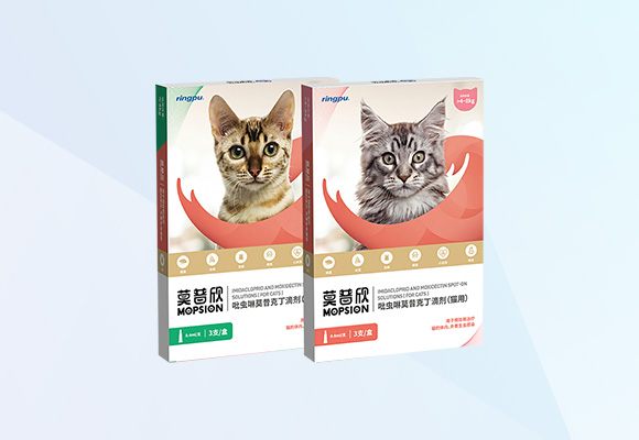 �ŵ�88(�й���)�ٷ���վ