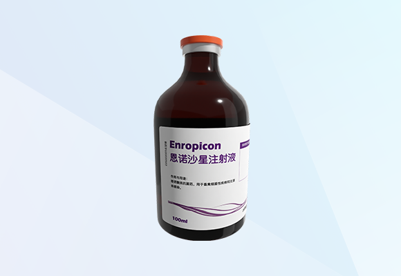 �ŵ�88(�й���)�ٷ���վ