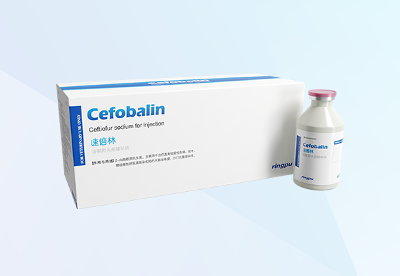 �ŵ�88(�й���)�ٷ���վ